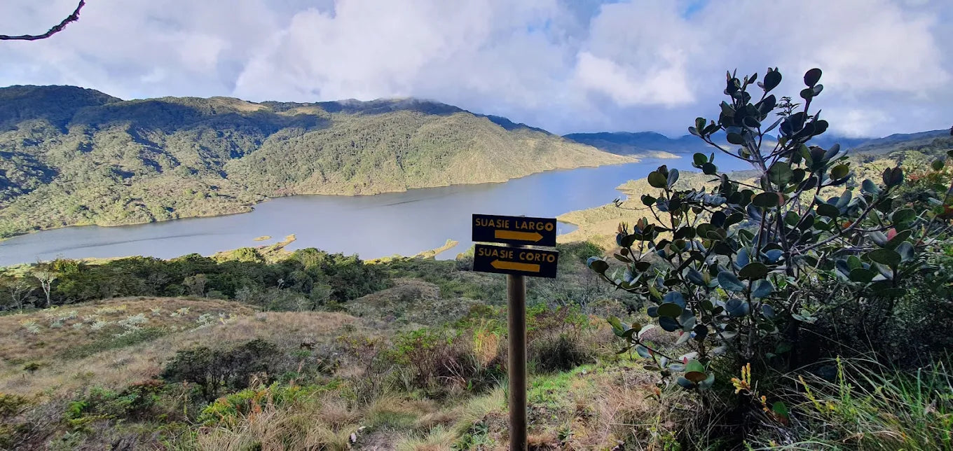 Caminata Suasie Corto (Fecha por definir)